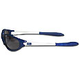 Indianapolis Colts Team Sunglasses